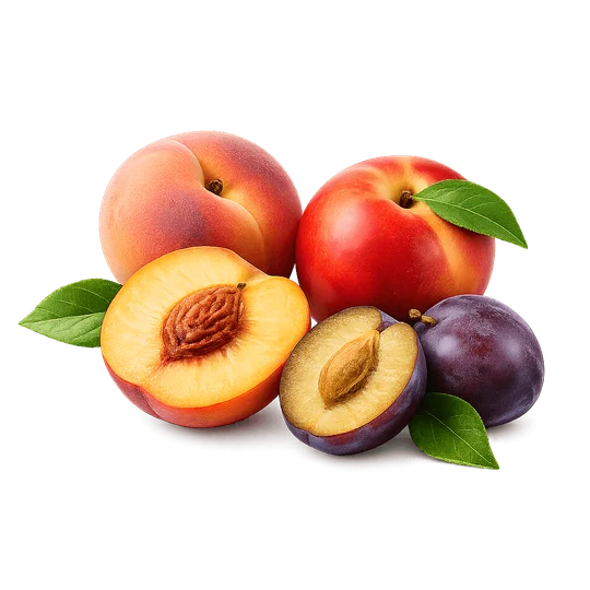 e79b83b9-de72-4f5e-9908-93a218bd67b7-chatgptimage20мая2026г.,18_57_21.png