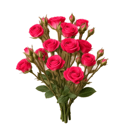 5d1af5b3-08c6-4212-81e0-dd376d9c1880-chatgptimage8июл.2026г.,18_03_18.png